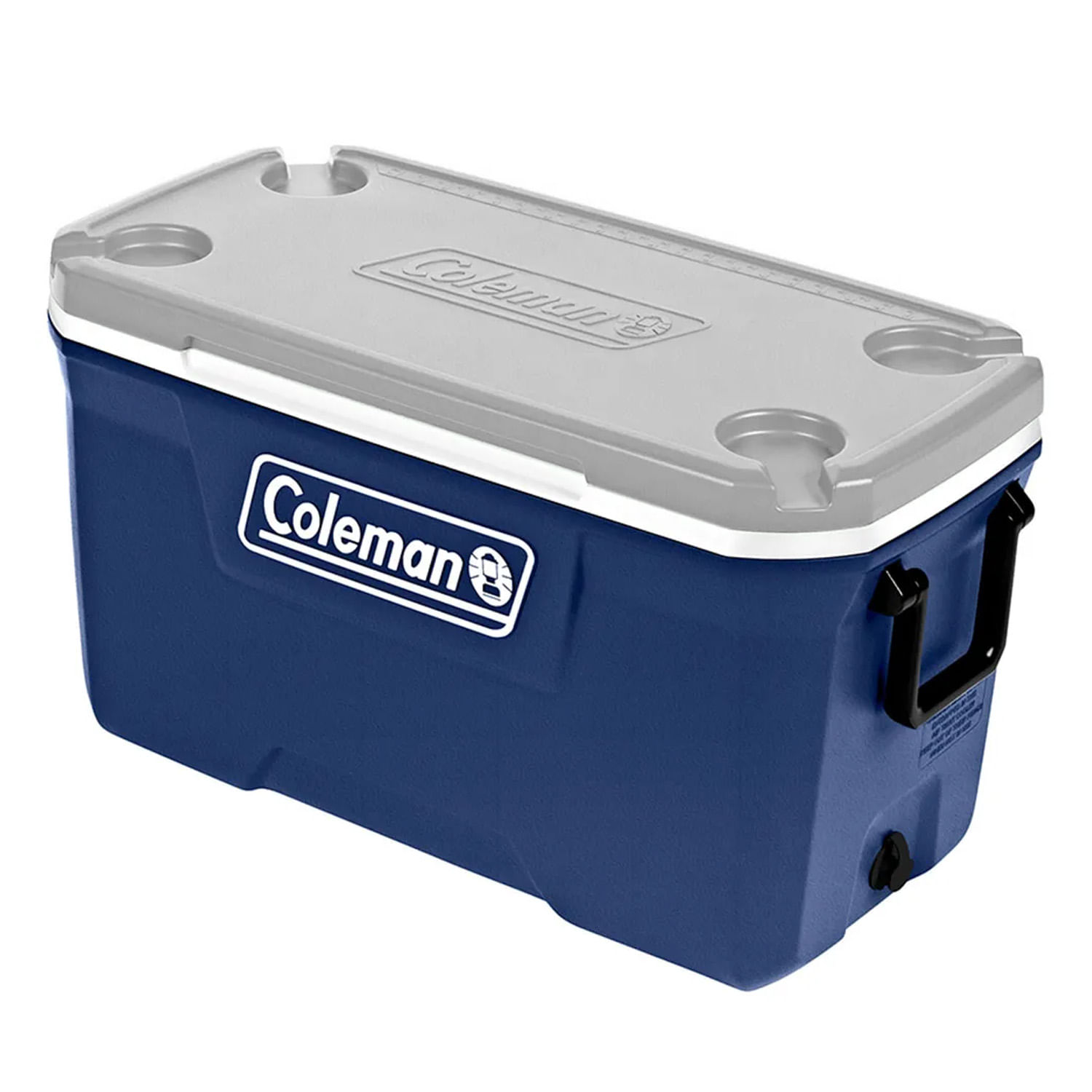 みか CAIXA TÉRMICA 66,2L AZUL LAKESIDE - 110